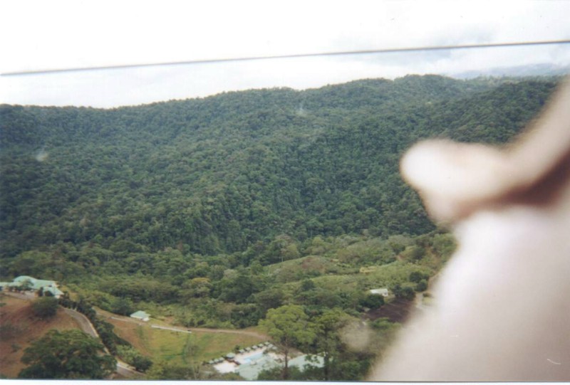 ../Images/Canopy View.jpg